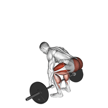 barbell deadlift