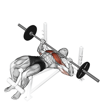 barbell decline bench press