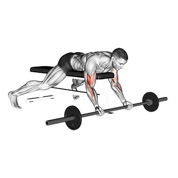 barbell lying preacher curl