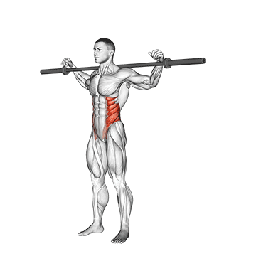 barbell side bent v. 2