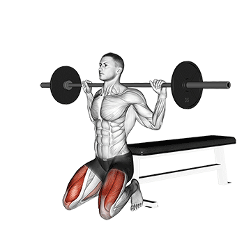 barbell squat (on knees)