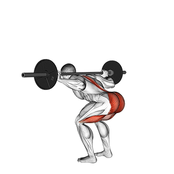barbell stiff leg good morning