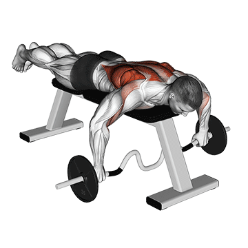 cambered bar lying row