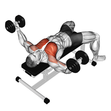 dumbbell fly