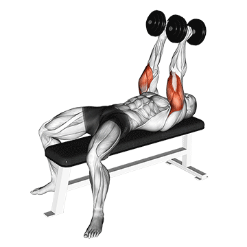 dumbbell neutral grip bench press