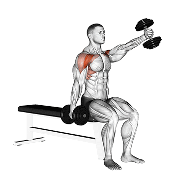 dumbbell seated alternate front raise