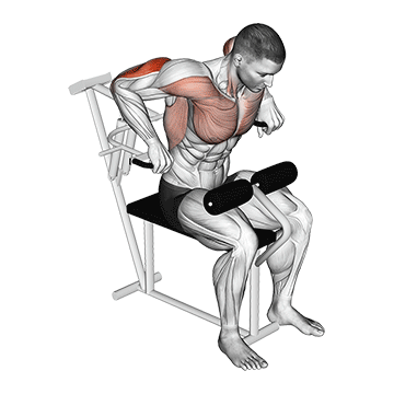 lever overhand triceps dip