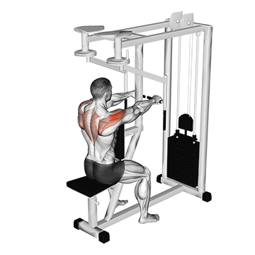 lever seated reverse fly