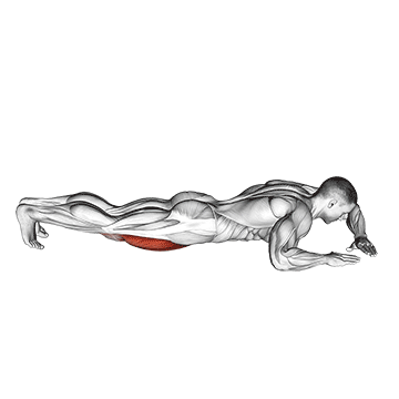 lying (side) quads stretch