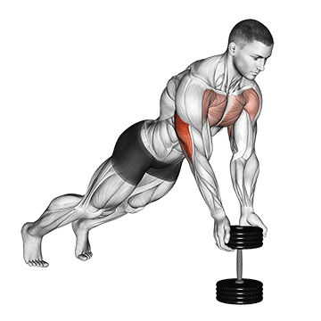 Animated demonstration of the push-up close-grip off dumbbell exercise, targeting the Triceps using Dumbbell.