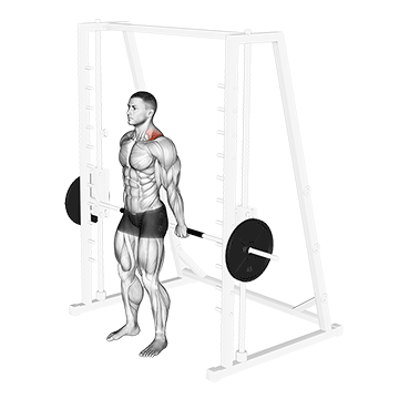 smith back shrug
