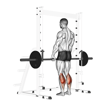 smith standing leg calf raise