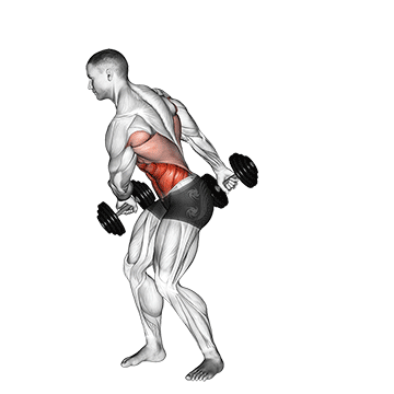 Animated demonstration of the spell caster exercise, targeting the Abs using Dumbbell.