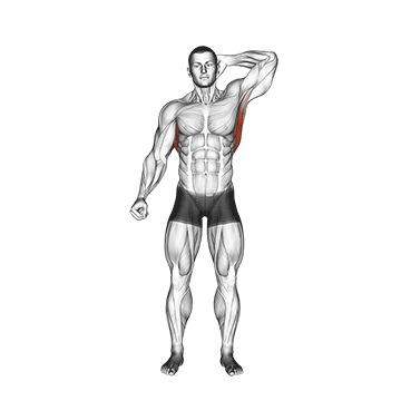 standing lateral stretch