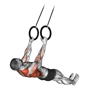 suspended row