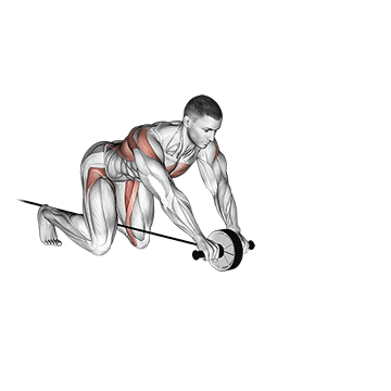 band assisted wheel rollerout