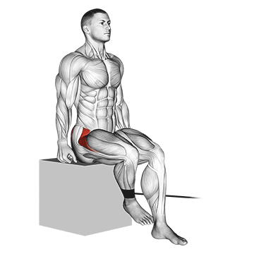 band seated hip internal rotation