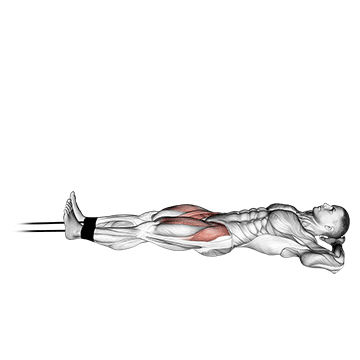 band lying straight leg raise