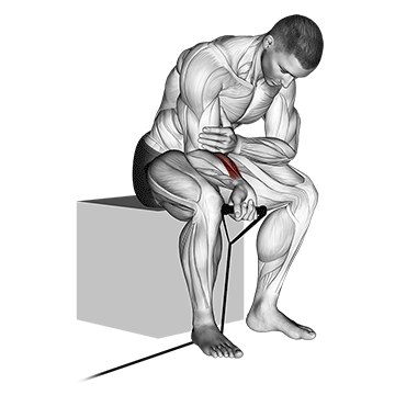 band wrist curl