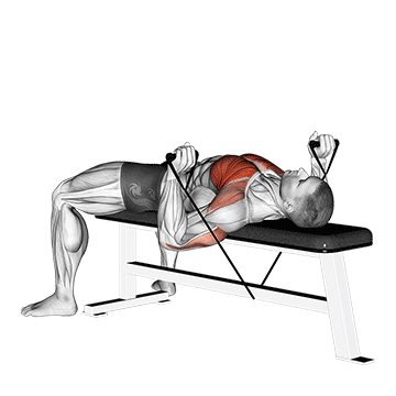Animated demonstration of the band bench press exercise, targeting the Pectorals using Band.