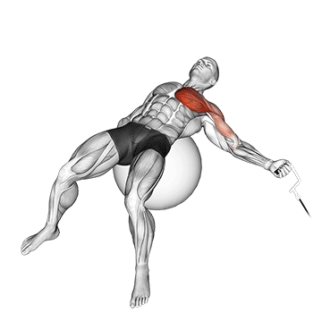 cable one arm fly on exercise ball