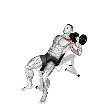 dumbbell incline one arm press
