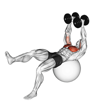 dumbbell one leg fly on exercise ball