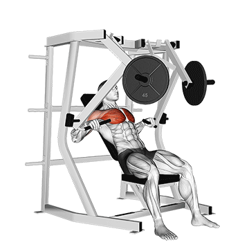 lever decline chest press