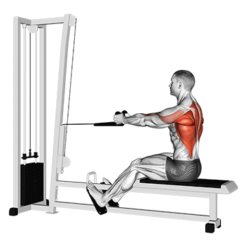 cable rope seated row