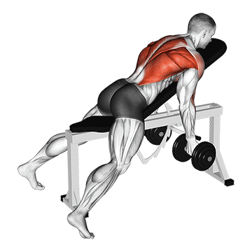 dumbbell lying rear delt row