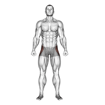 straight leg outer hip abductor
