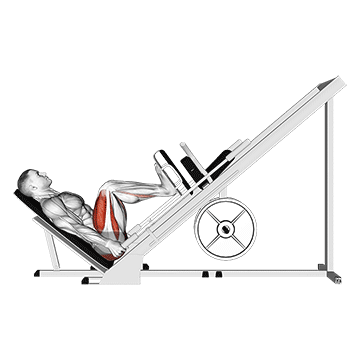 sled 45° leg press (side pov)