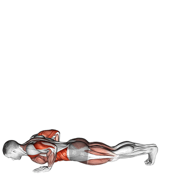 Animated demonstration of the inchworm exercise, targeting the Abs using Body weight.