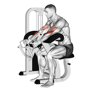 lever hammer grip preacher curl