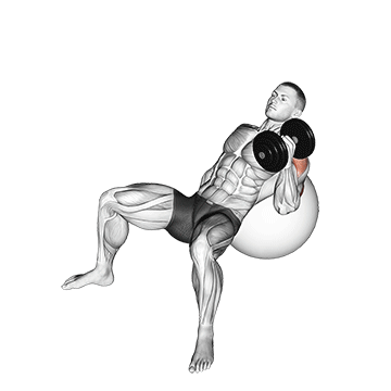 Animated demonstration of the dumbbell incline one arm hammer press on exercise ball exercise, targeting the Triceps using Dumbbell.