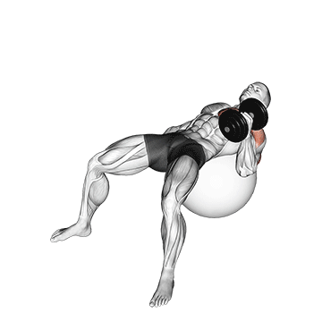 Animated demonstration of the dumbbell one arm hammer press on exercise ball exercise, targeting the Triceps using Dumbbell.