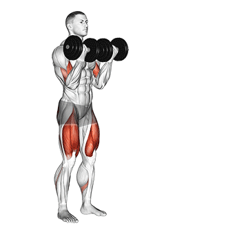 Animated demonstration of the dumbbell bicep curl lunge with bowling motion exercise, targeting the Biceps using Dumbbell.