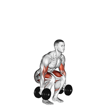 Animated demonstration of the dumbbell biceps curl squat exercise, targeting the Biceps using Dumbbell.