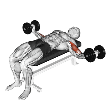 Animated demonstration of the dumbbell lying wide curl exercise, targeting the Biceps using Dumbbell.