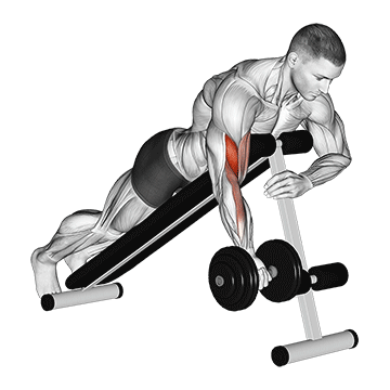 Animated demonstration of the dumbbell one arm prone curl exercise, targeting the Biceps using Dumbbell.