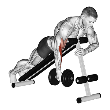 Animated demonstration of the dumbbell one arm prone hammer curl exercise, targeting the Biceps using Dumbbell.