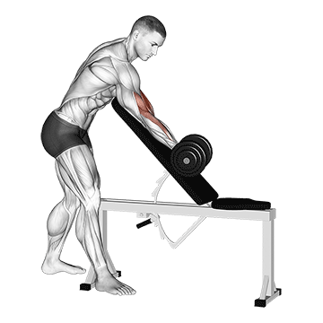 Animated demonstration of the dumbbell one arm zottman preacher curl exercise, targeting the Biceps using Dumbbell.