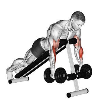 Animated demonstration of the dumbbell prone incline hammer curl exercise, targeting the Biceps using Dumbbell.