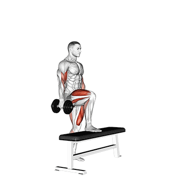 Animated demonstration of the dumbbell step up single leg balance with bicep curl exercise, targeting the Biceps using Dumbbell.