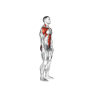 Animated demonstration of the posterior step to overhead reach exercise, targeting the Abs using Body weight.