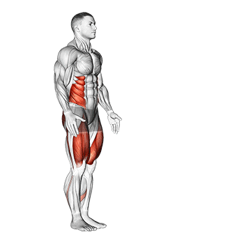 Animated demonstration of the lunge with twist exercise, targeting the Abs using Body weight.