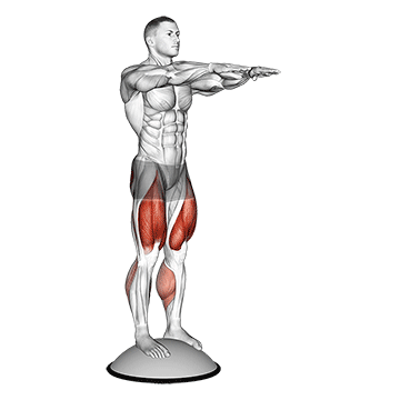 squat on bosu ball