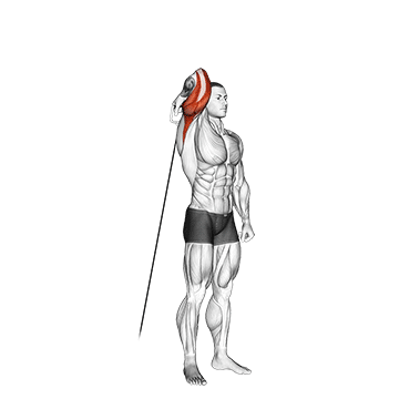 cable standing reverse grip one arm overhead tricep extension