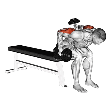 Animated demonstration of the dumbbell seated bent over alternate kickback exercise, targeting the Triceps using Dumbbell.