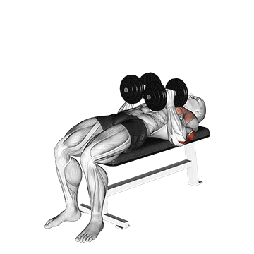 Animated demonstration of the dumbbell close grip press exercise, targeting the Triceps using Dumbbell.